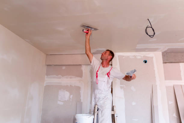 Best Trim and Molding Painting  in Elida, OH